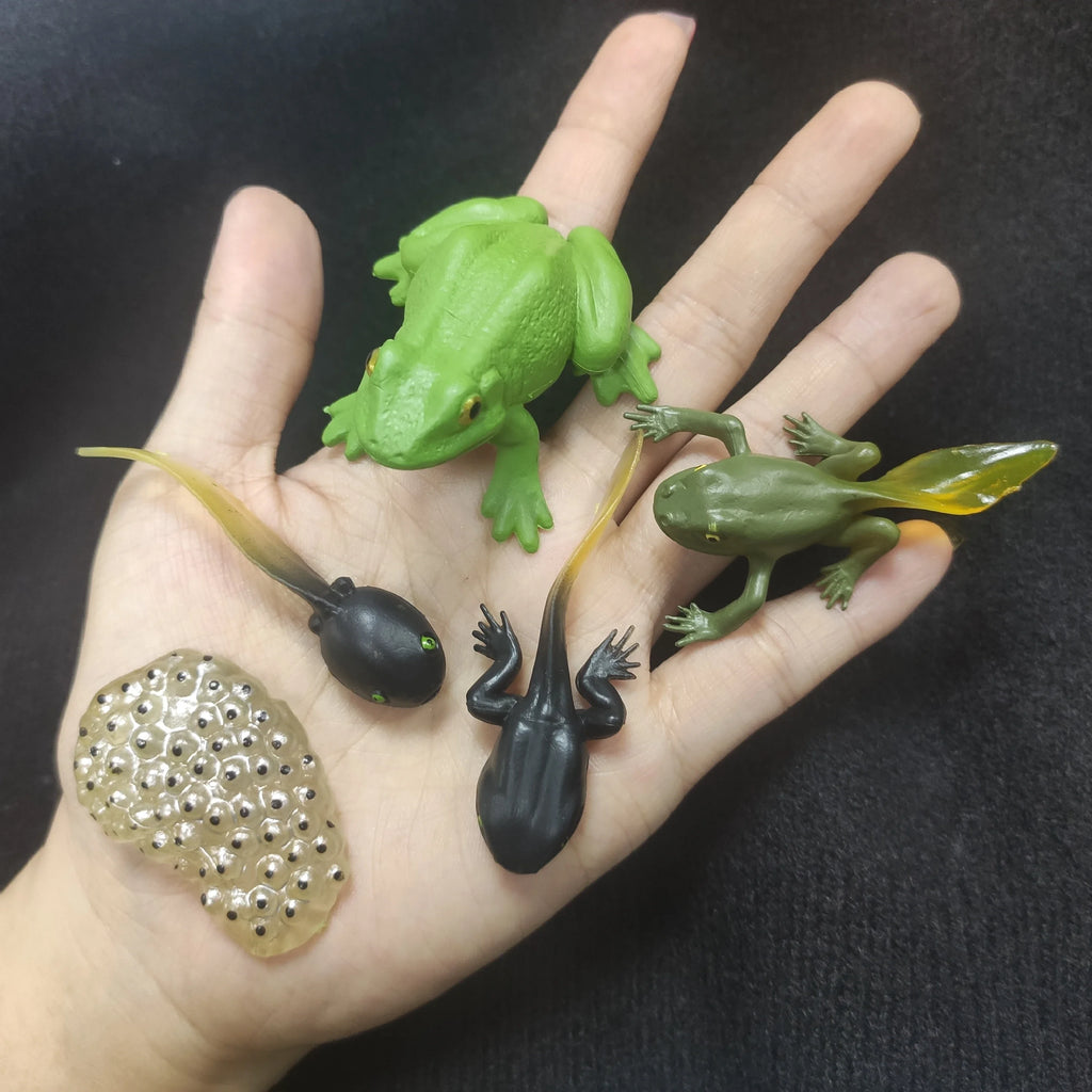 Modelo de biología de simulación para niños, juguete de planta Animal, ciclo de crecimiento de vida, juego de juguetes Montessori para niños, material didáctico, juguetes educativos